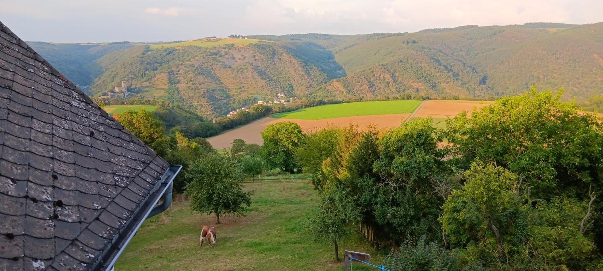 Romantische Ferienwohnung Rheingold 50 qm für 2 bis 4 P Bacharach Exterior foto
